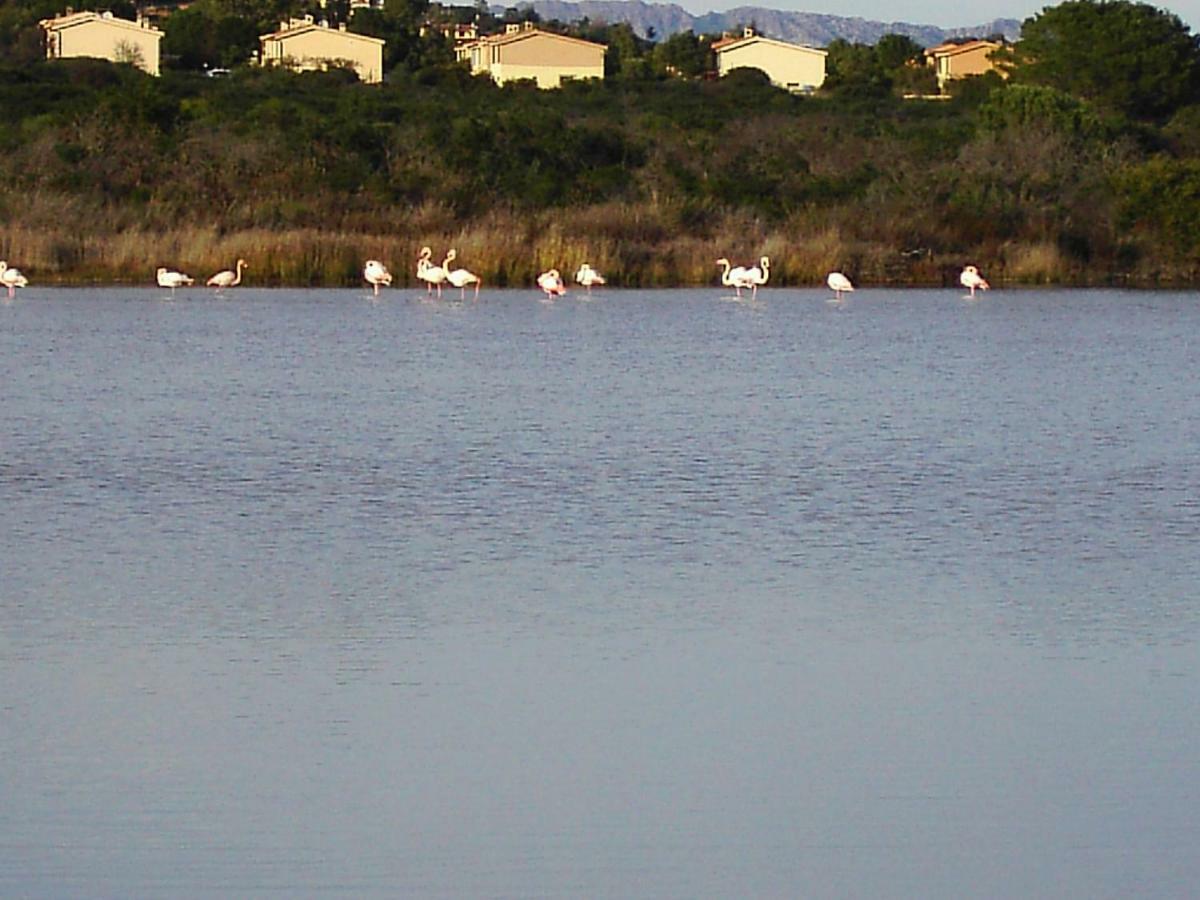 Vista Baia Blu Daire Budoni Dış mekan fotoğraf